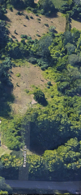 Three-Home Land Development - Before